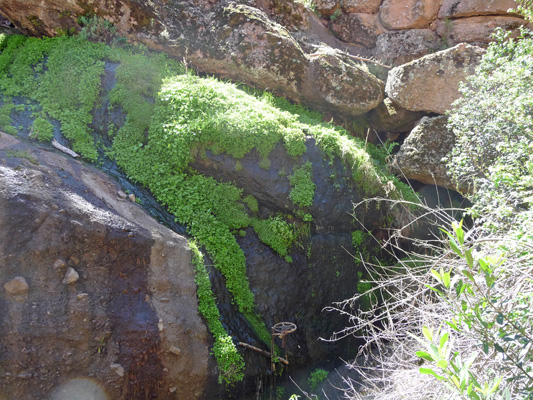 Mossy canyon wall near Bear Gulch Reservoir