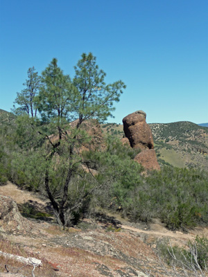 Rim Trail view Grey Pine Pinnacles NP