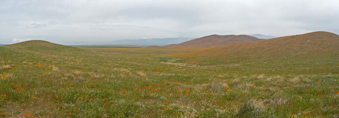 View northwest from Poppy Reserve