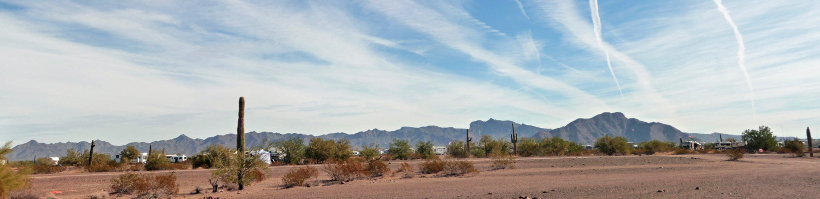 Road Runner BLM Quartzsite campsite view