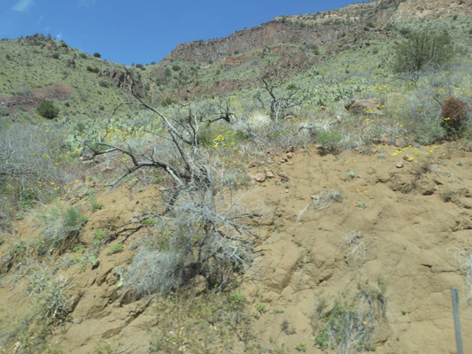 Salt Creek Canyon