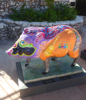 Tubac Javelina