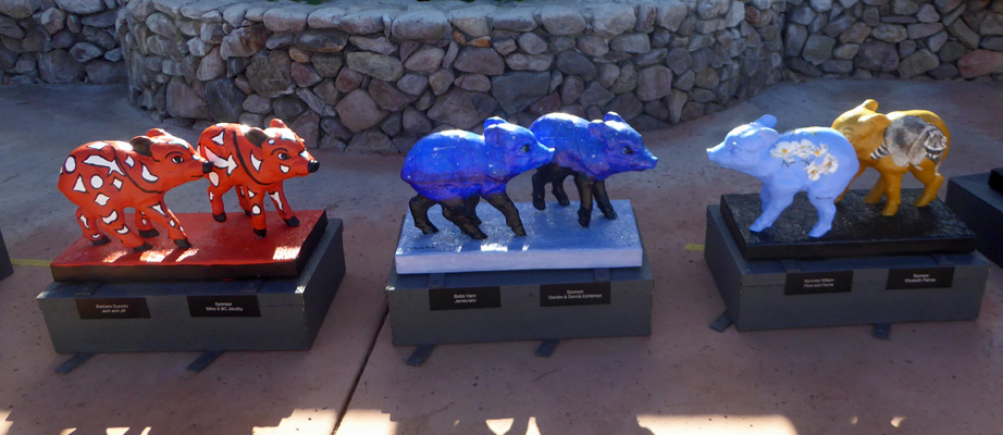 Tubac Javelinas