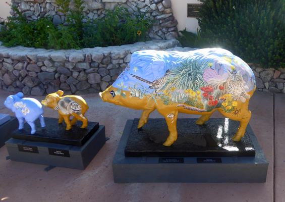 Tubac Javelinas