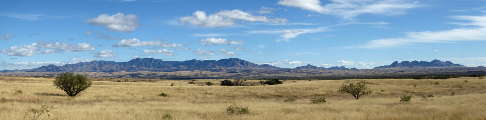 Las Cienegas Conservation Area