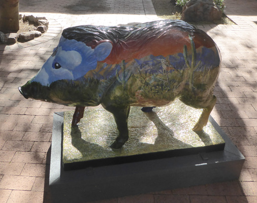 Tubac Javelina