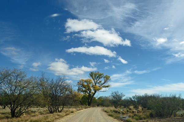 Cottonwood Las Cienegas