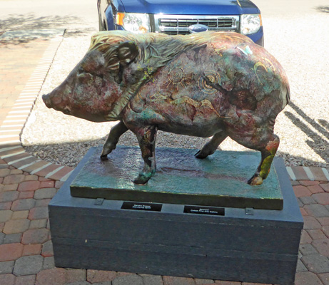 Tubac Javelina