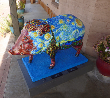 Tubac Javelina