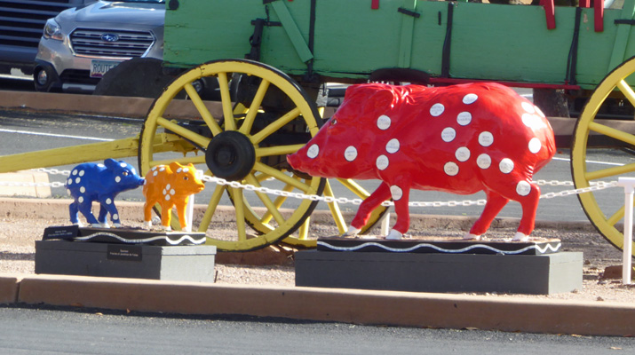 Tubac Javelinas