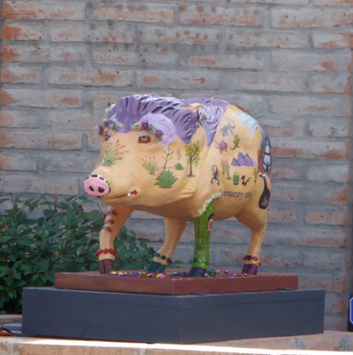 Tubac Javelina