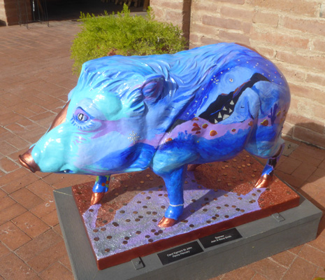 Tubac Javelina