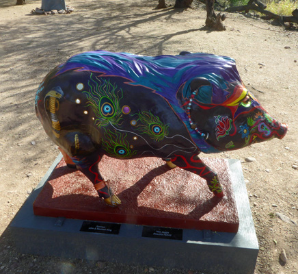 Tubac Javelina