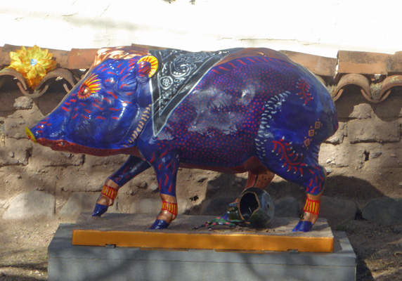 Tubac Javelina