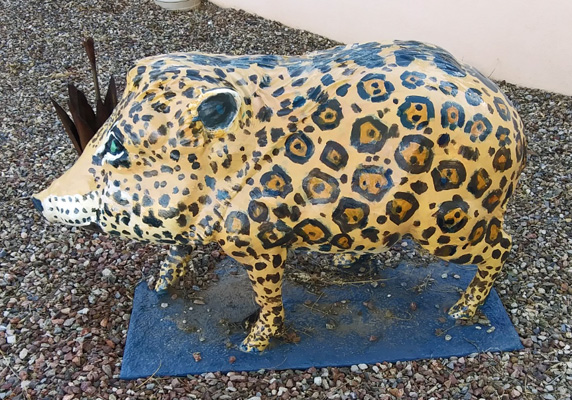 leopard javelina