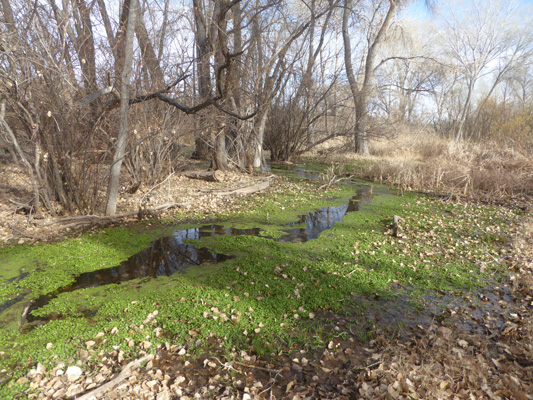 Water in Empire GUlch