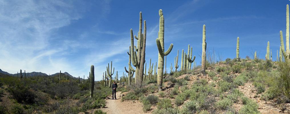 Sweetwater Preserve