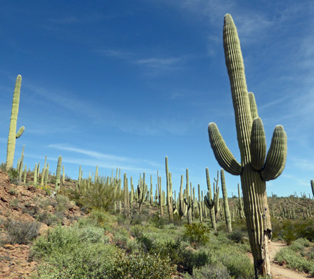 Sweetwater Preserve