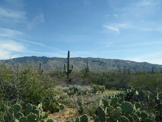 Tanque Verde Ridge