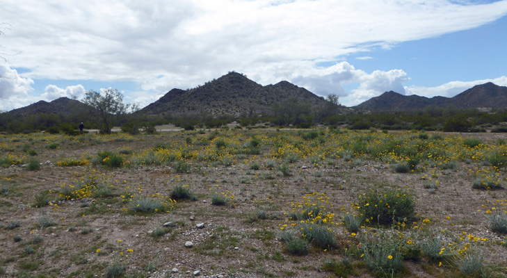 Rest area on I-10