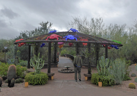 Desert Botanical Garden