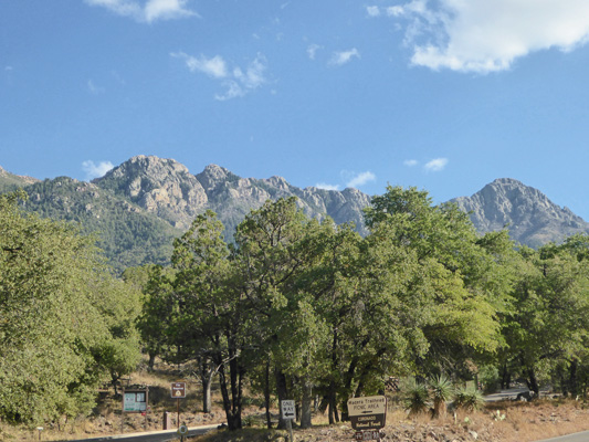 Madera Canyon view