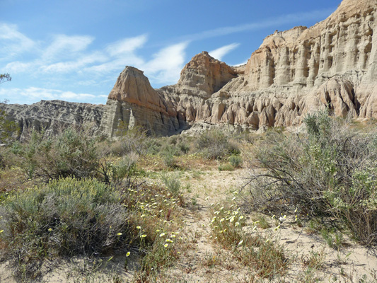 Wildflowers and rock formations Red Rock SP CA