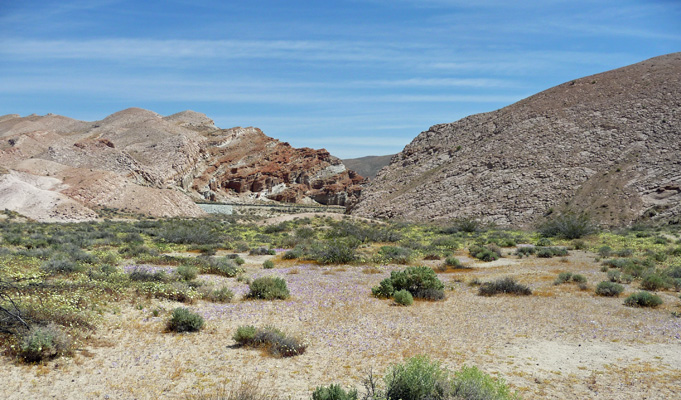 View from Hagen Canyon to Red Cliffs Red Rock SP CA