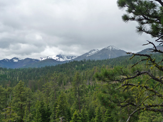 View from trail to Meeks Table