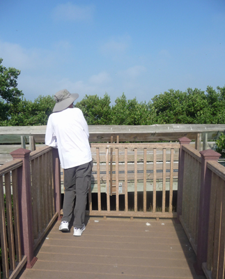 Walkways on S Padre Island