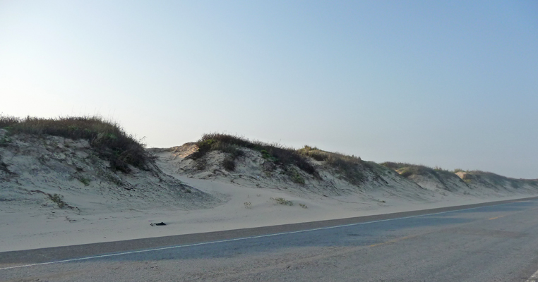 Sand dunes S Padre Island