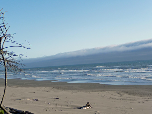 Fog bank early evening Kalaloch Beach