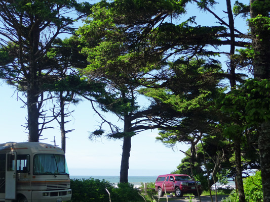 Campsite view Kalaloch WA