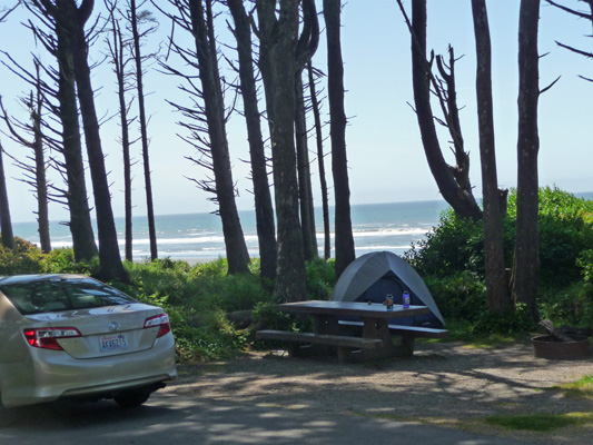 Campsite view Kalaloch