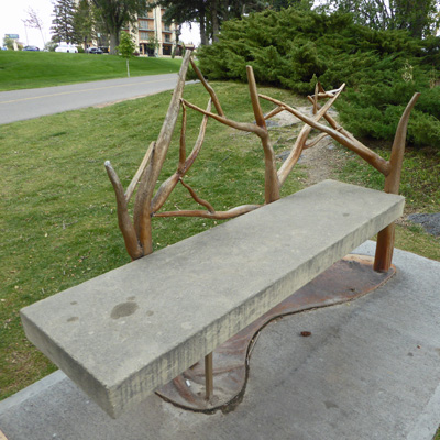 tree branch bench