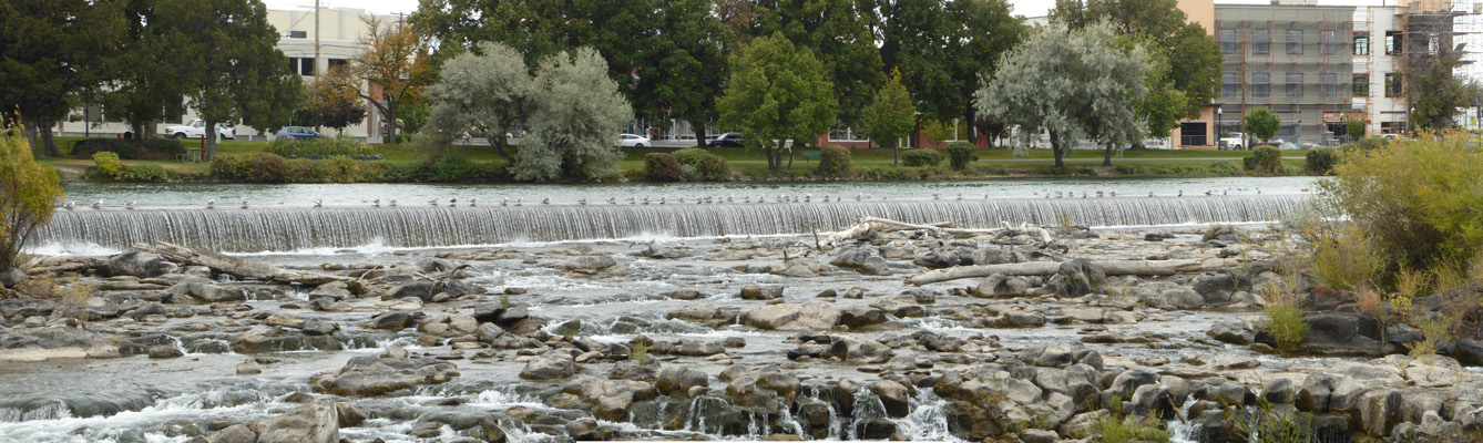 Idaho Falls