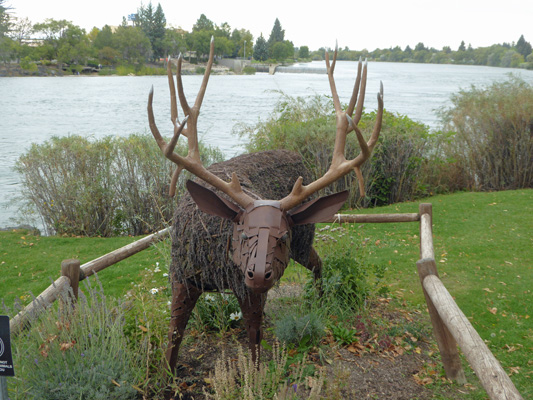 Elk topiary