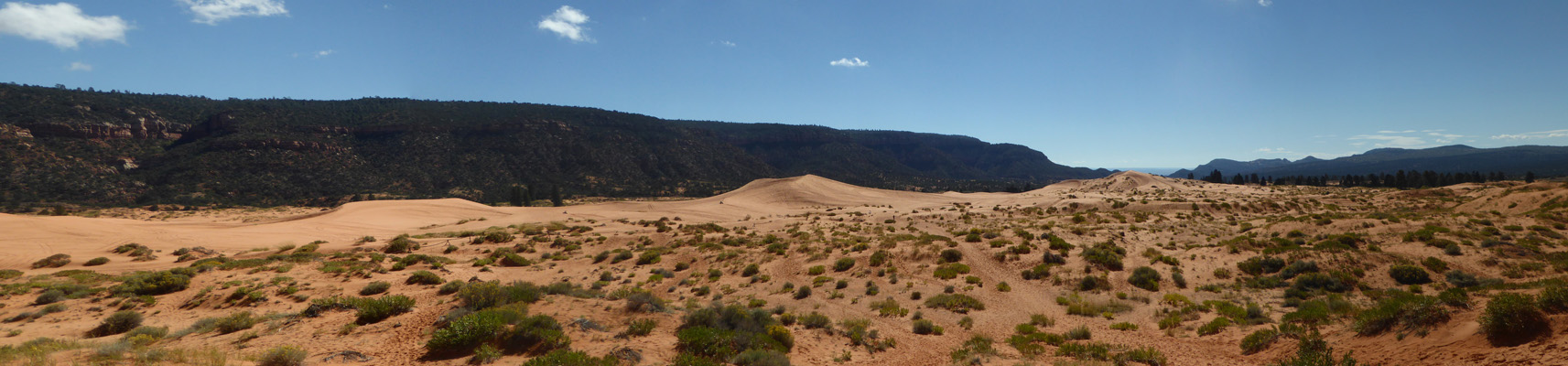 Coral Pink Sand Dunes SP