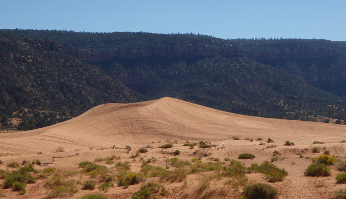 Coral Pink Sand Dunes