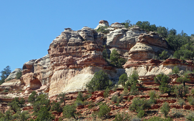 Johnson Canyon Kanab UT