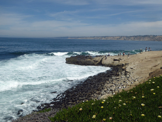 Sea Lions and people on rocks surf