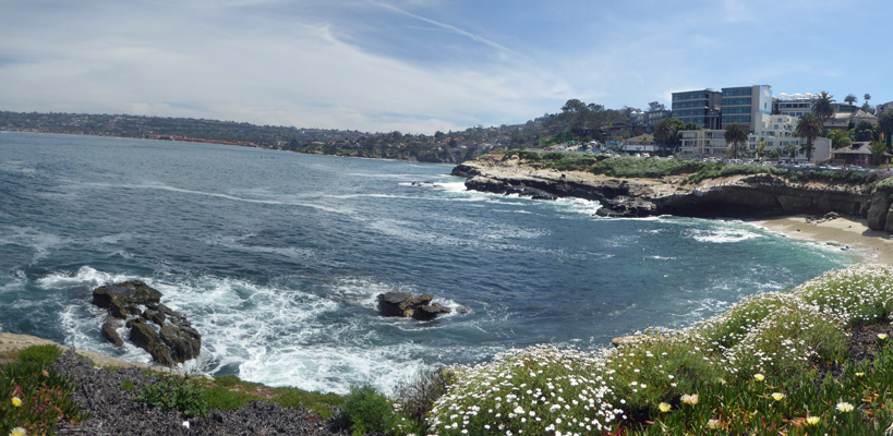 The La Jolla Cove