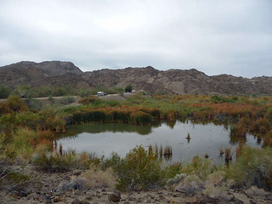 Pond at Mittry Lake NWR