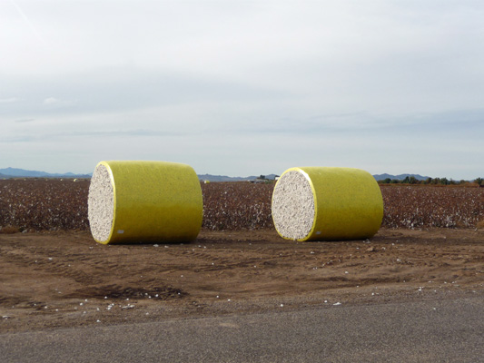 Cotton Bales in Arizona north of Cibola NWR