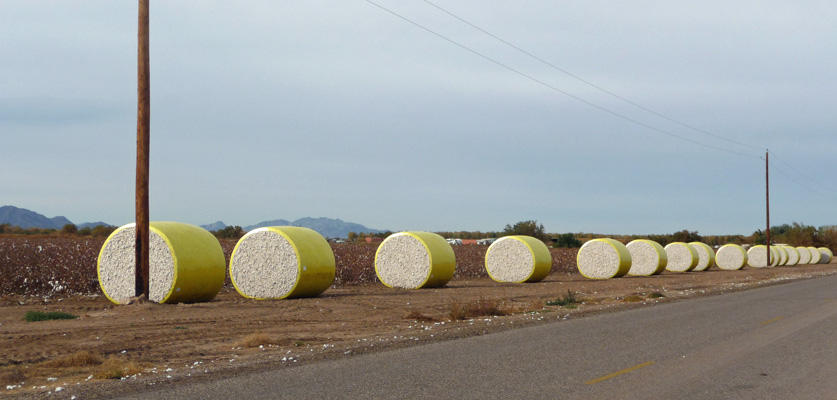 Cotton Bales in Arizona north of Cibola NWR