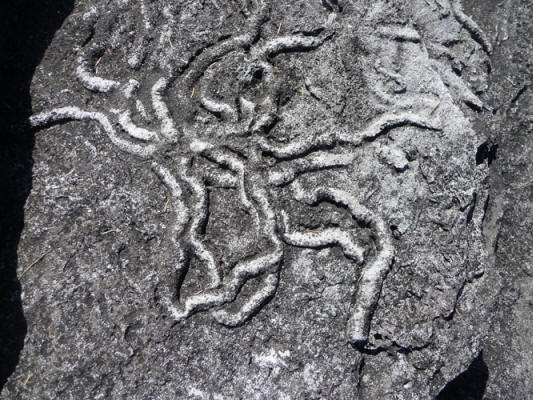 Worm patterned rocks Salt Creek Campground