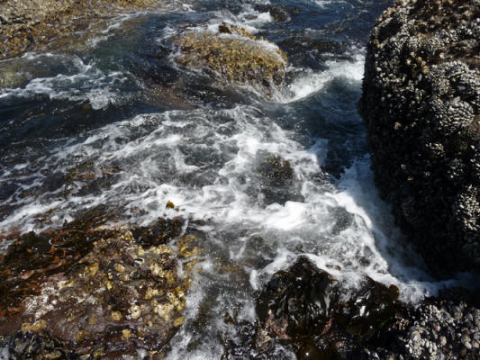 Tidepools and surf at Salt Creek Campground WA