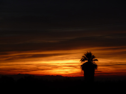 Sunset Holtville CA