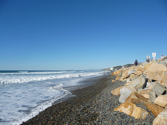 Torrey Pines State Beach