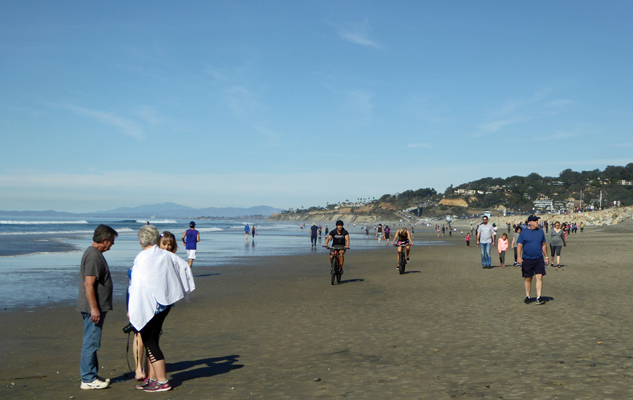 Torrey Pines State Beach